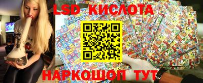 MDMA Premium VHQ Камышлов